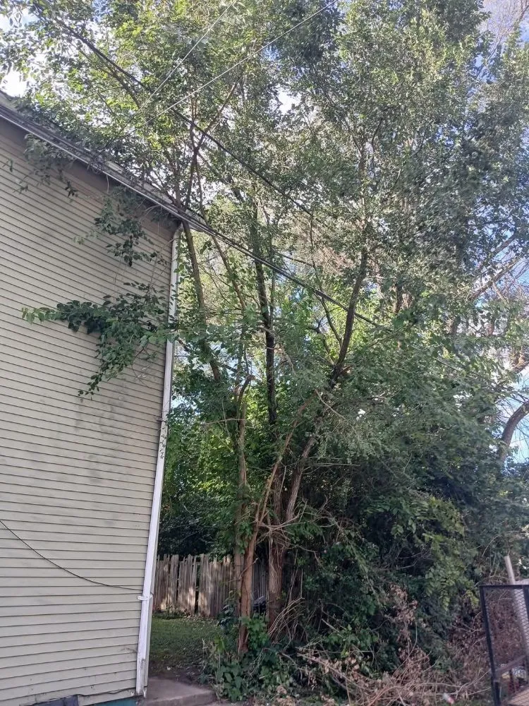 Affordable landscaping services in New Castle, PA by Little Lands Landscaping and Tree Service