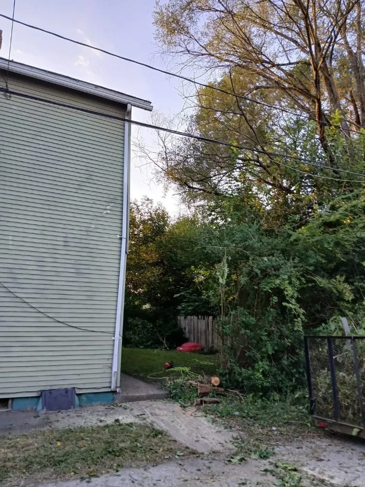 Reliable lawn care service experts serving New Castle, PA - Little Lands Landscaping and Tree Service