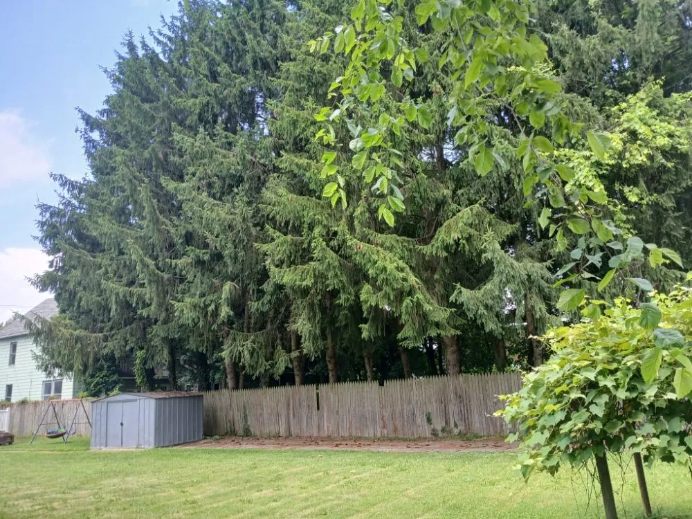 Expert landscape design for beautiful yards across New Castle, PA - Little Lands Landscaping and Tree Service