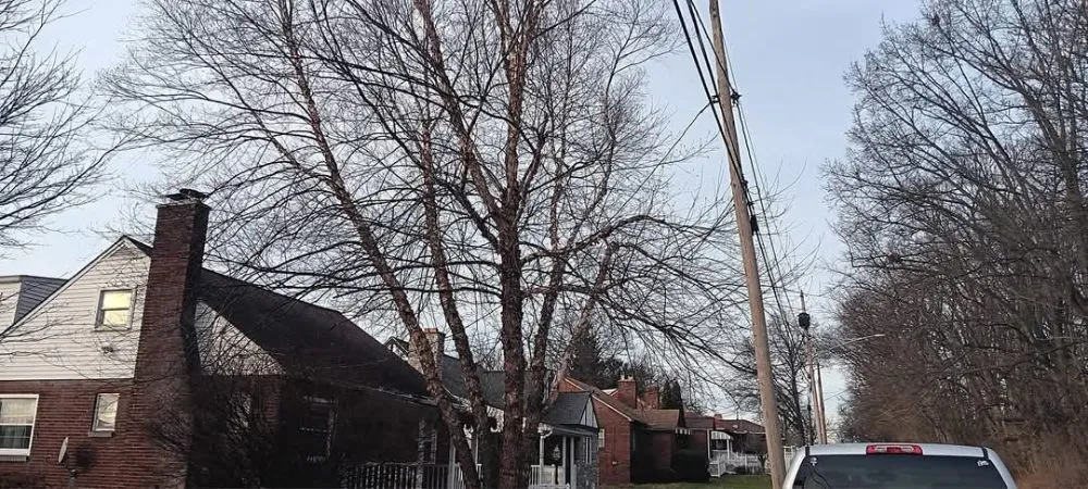 Professional lawn care service experts serving New Castle, PA - Little Lands Landscaping and Tree Service