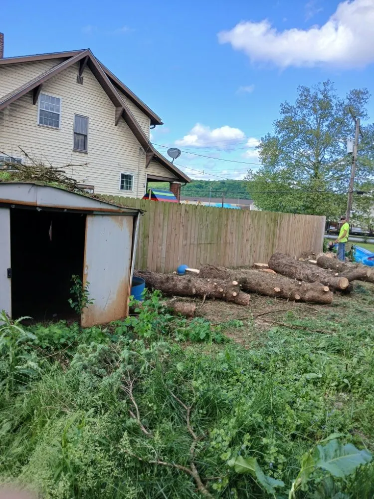Local landscape installation for beautiful yards across New Castle, PA - Little Lands Landscaping and Tree Service