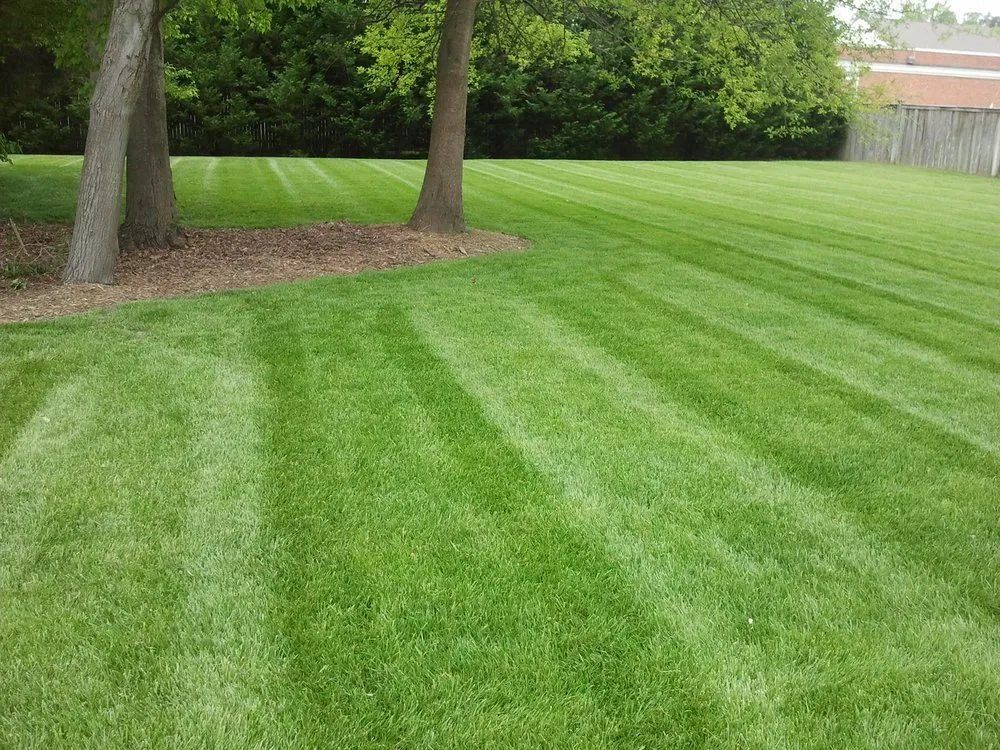 Trusted yard maintenance for beautiful yards across Hamburg, NY - Little Landscaping