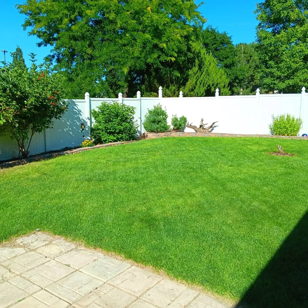 Professional outdoor landscaping for outdoor upgrades in longmont, CO by Little Laurel Landscaping