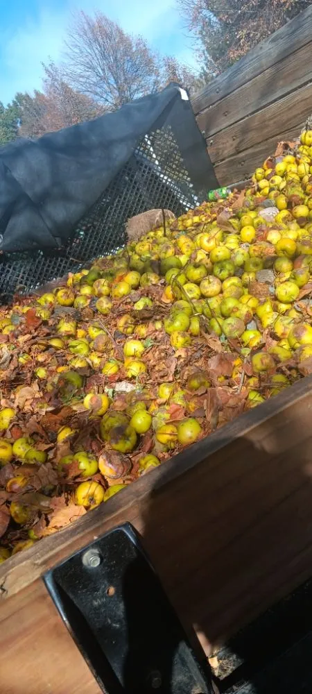 Expert landscape installation in longmont, CO by Little Laurel Landscaping