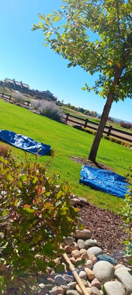 Custom garden landscaping in longmont, CO - Little Laurel Landscaping