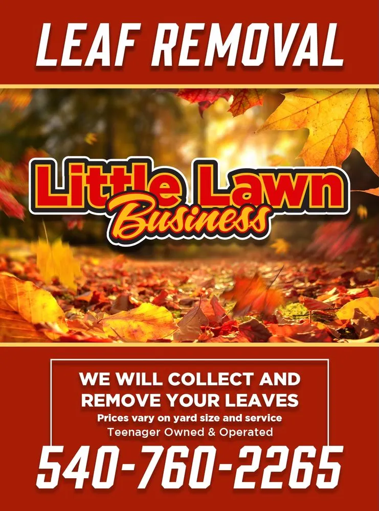 Expert yard maintenance with custom design in Fredericksburg, VA by Little Lawn Business