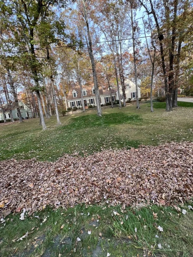 Affordable yard maintenance in Fredericksburg, VA by Little Lawn Business