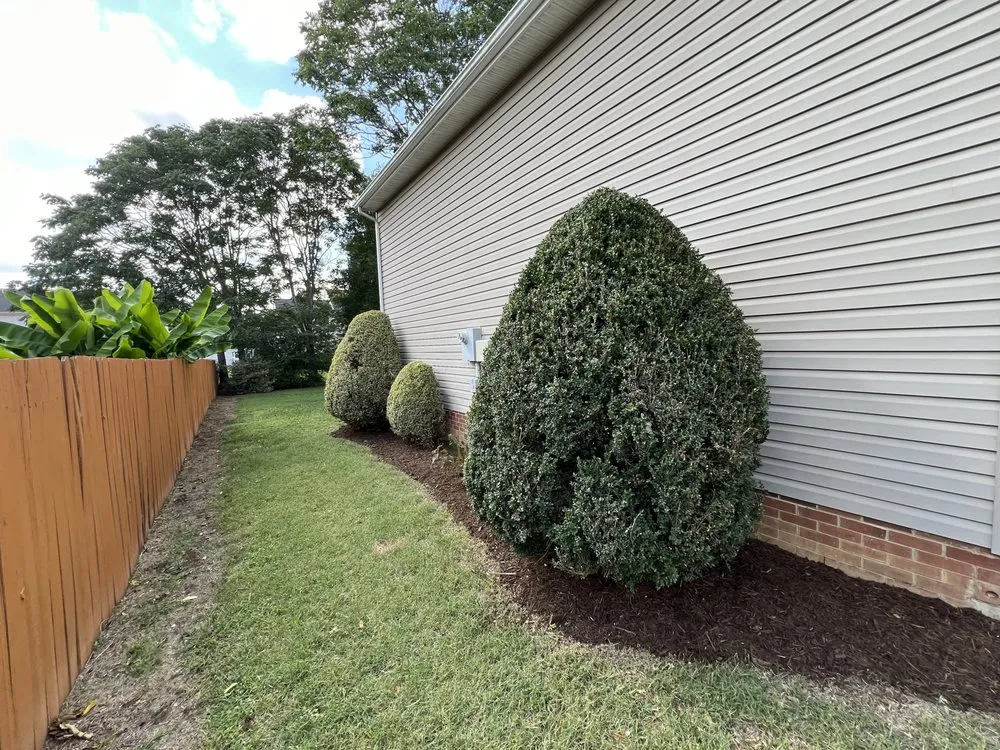 Reliable landscaping services in Fredericksburg, VA by Little Lawn Business
