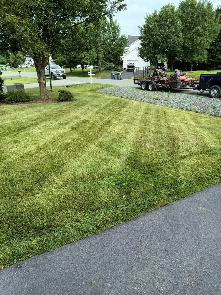 Top-rated garden landscaping in Fredericksburg, VA - Little Lawn Business