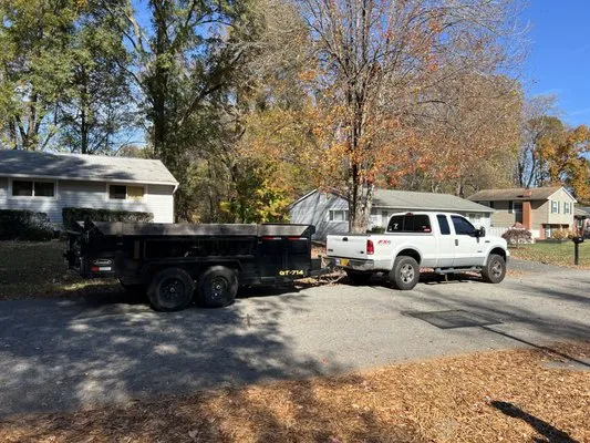 Little Lawn Business Logo