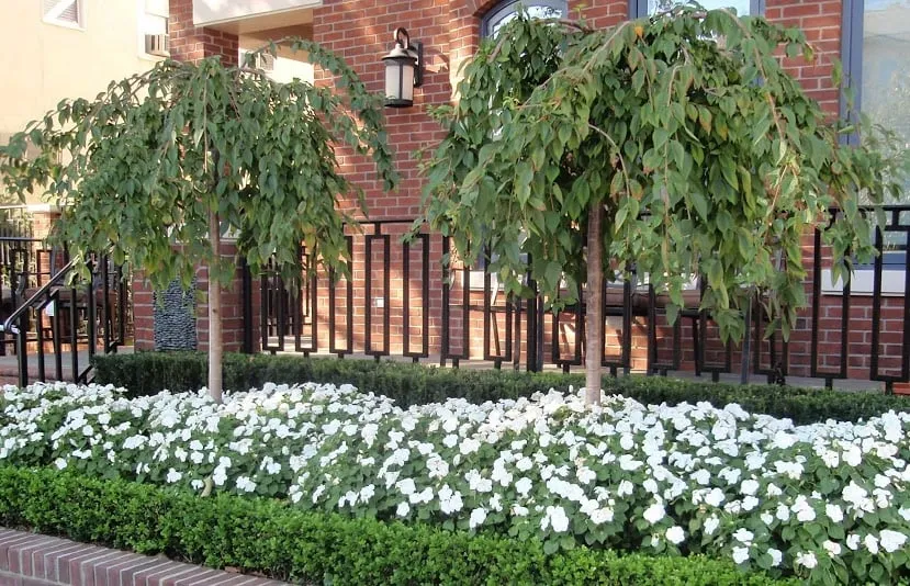 Trusted landscape design in Kingston, NY - Little Leaf Landscaping