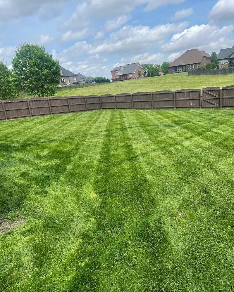 Top-rated landscape design experts serving Adams, TN - Little Lew Lawncare