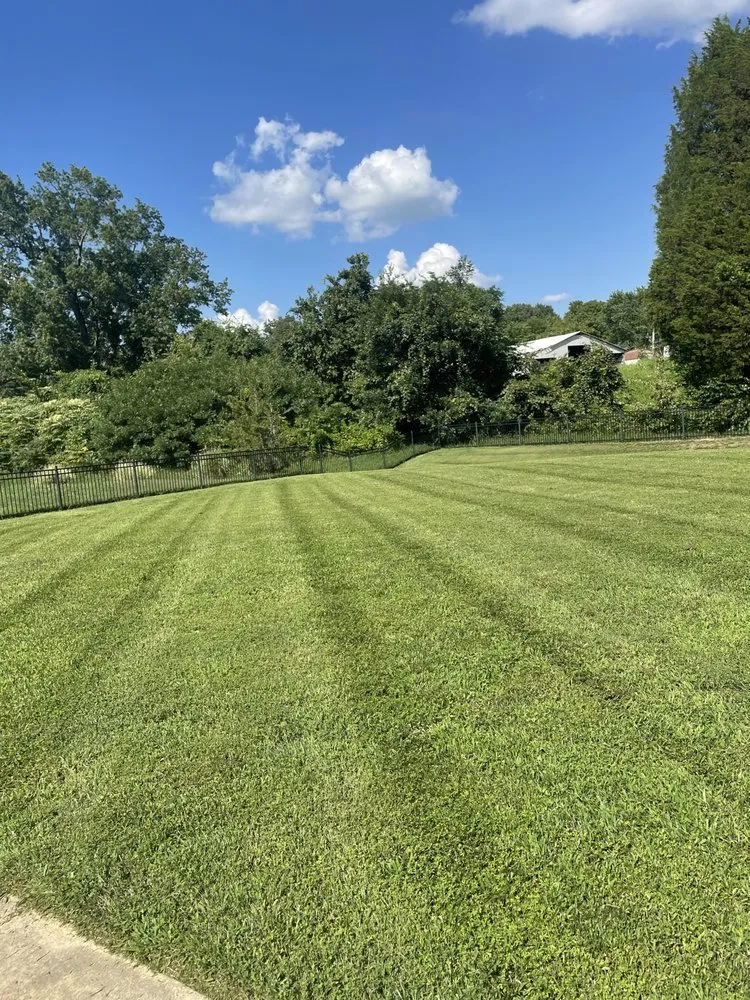 Affordable landscape design in Adams, TN by Little Lew Lawncare