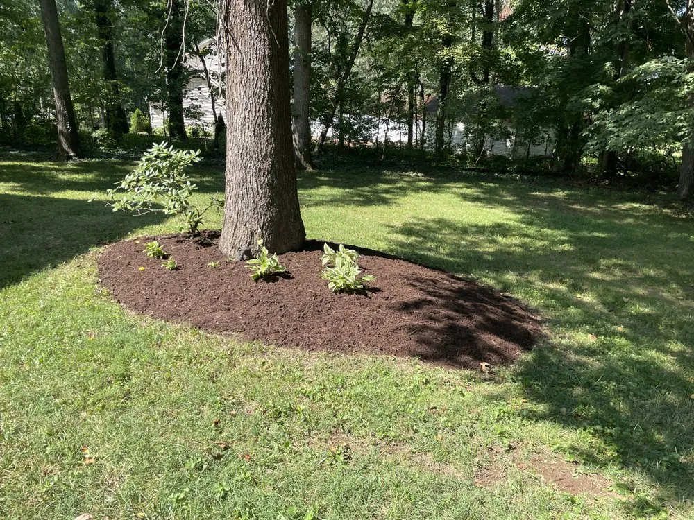 Professional garden landscaping for outdoor upgrades in Adams, TN by Little Lew Lawncare