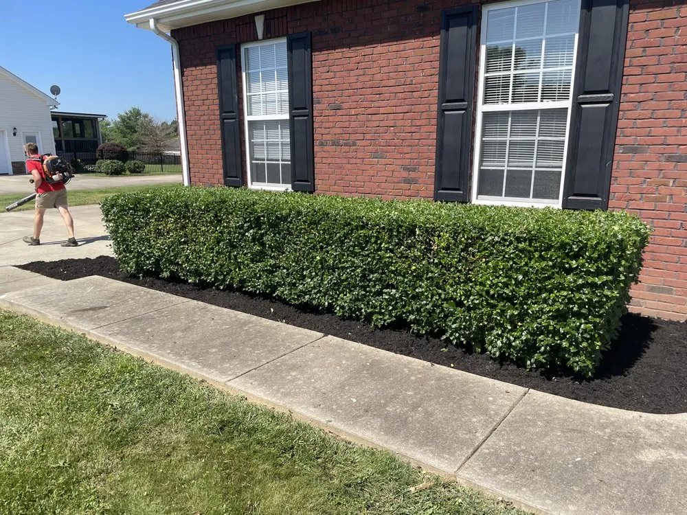 Expert yard cleanup service in Adams, TN by Little Lew Lawncare