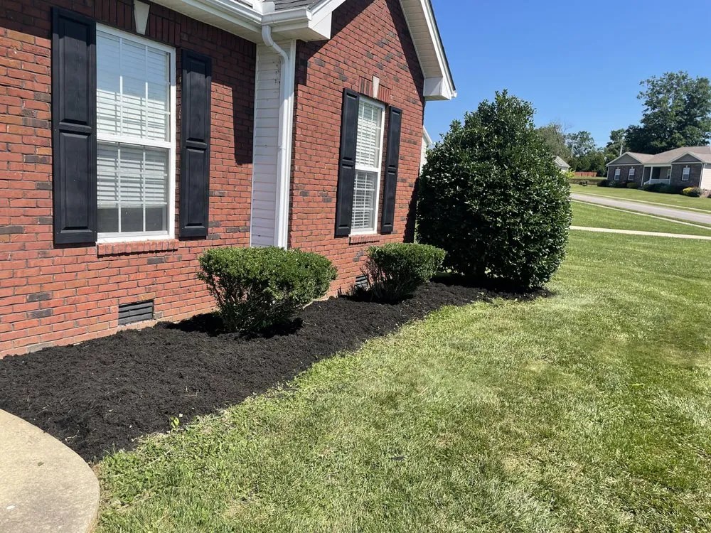 Professional yard cleanup service in Adams, TN - Little Lew Lawncare