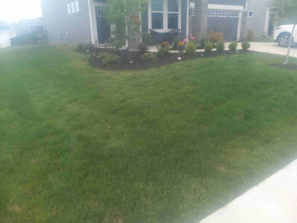 Top-rated yard cleanup service in Noblesville, IN - Little Light Mowing Service