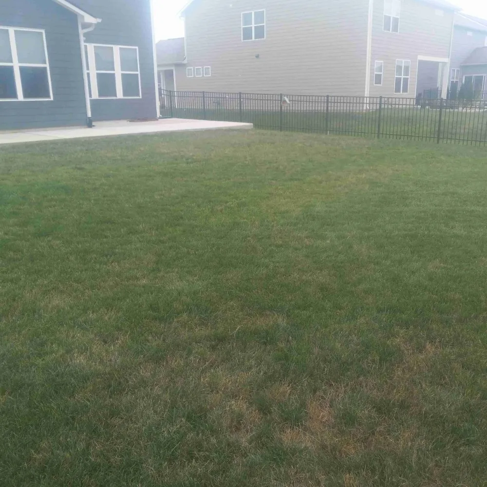 Local landscaping services in Noblesville, IN by Little Light Mowing Service