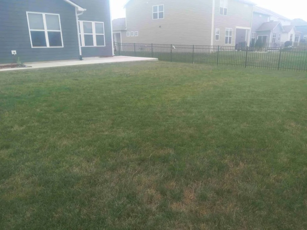Affordable residential landscaping for homes in Noblesville, IN by Little Light Mowing Service