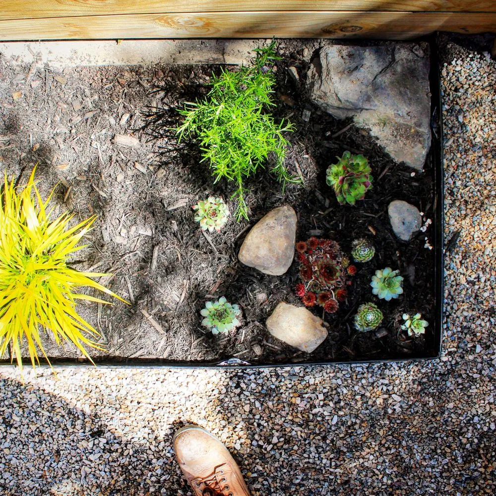 Reliable yard cleanup service in Portland, ME - Little Lion Landscape Design