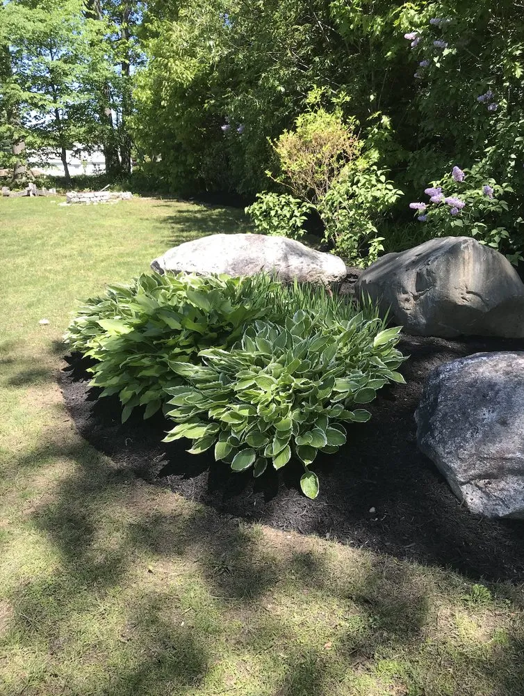 Trusted lawn mowing service in Portland, ME by Little Lion Landscape Design