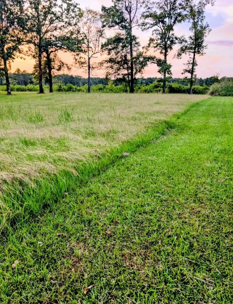 Local lawn mowing service in Monroe, LA by Little Load Trucking and Tractor Work
