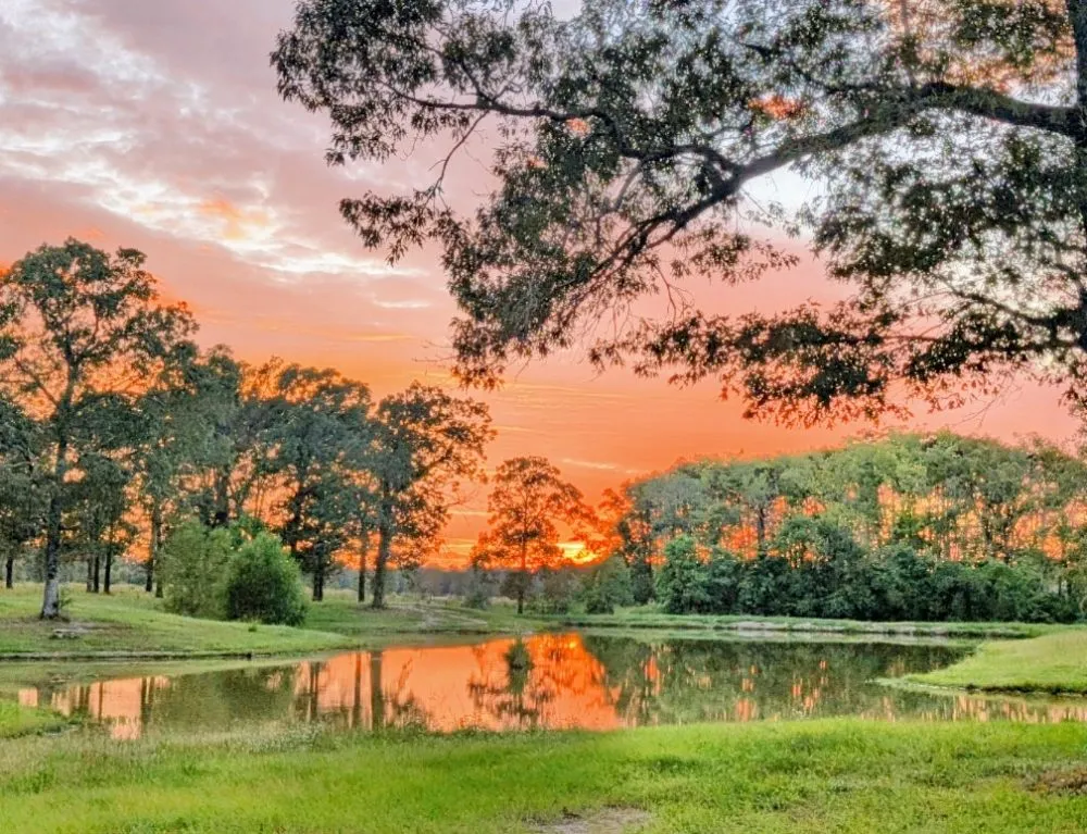 Reliable landscaping services for beautiful yards across Monroe, LA - Little Load Trucking and Tractor Work