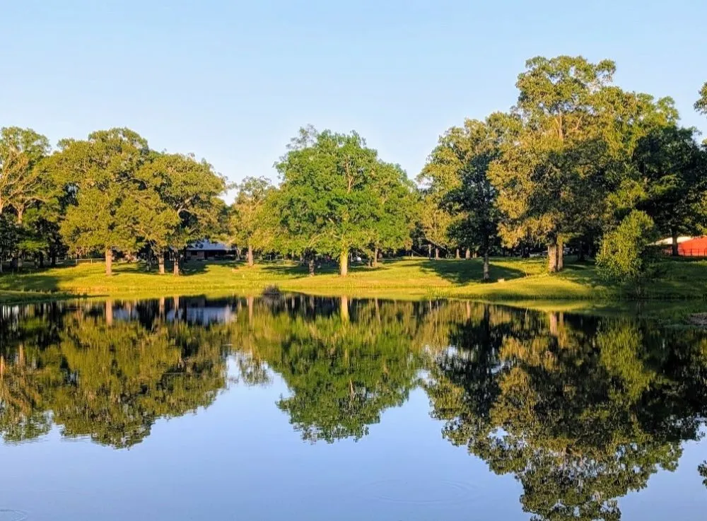 Expert yard cleanup service experts serving Monroe, LA - Little Load Trucking and Tractor Work
