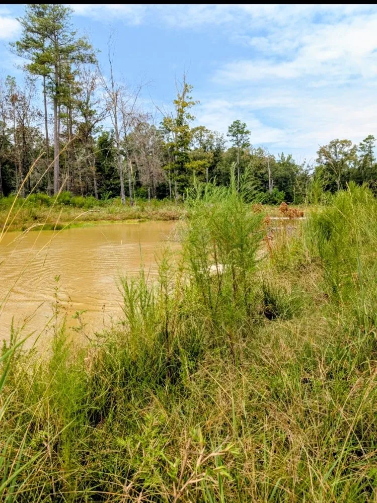 Professional garden landscaping for residential properties across Monroe, LA - Little Load Trucking and Tractor Work