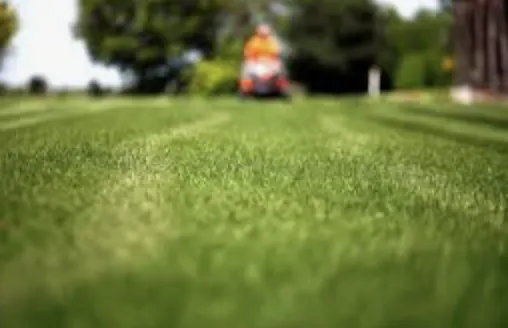 Top-rated lawn mowing service experts serving Eden, NC - Little Maintenance and Odd Jobs