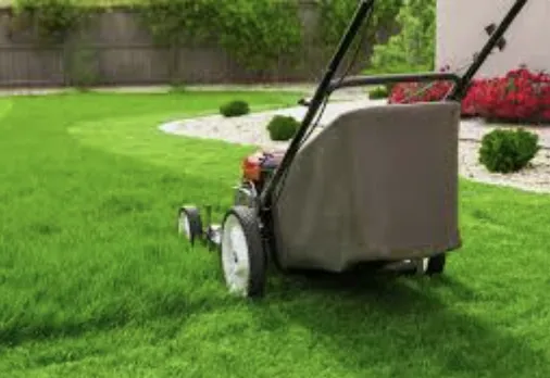 Local residential landscaping in Eden, NC by Little Maintenance and Odd Jobs