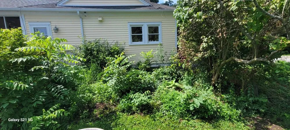 Custom yard maintenance experts serving Hettick, IL - Little Mans Landscape and Excavation