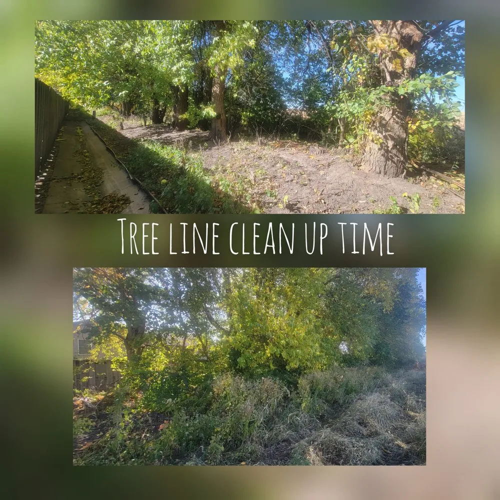 Affordable yard maintenance for beautiful yards in Hettick, IL by Little Mans Landscape and Excavation