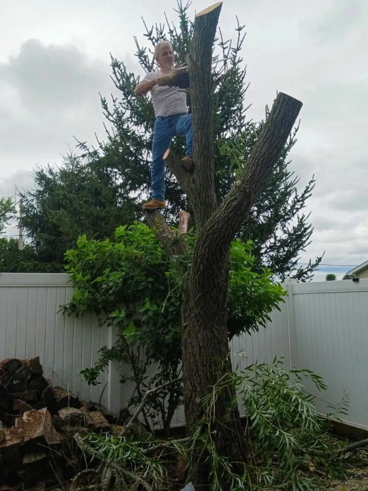 Affordable lawn care service in Kingston, OH by Little man's landscaping