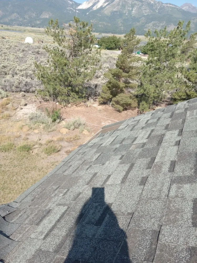 Top-rated garden landscaping experts serving Reno, NV - Little Miss Handy