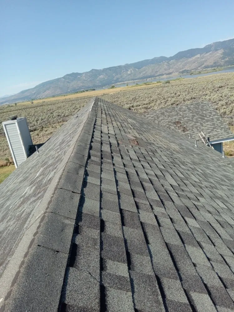 Top-rated outdoor landscaping experts serving Reno, NV - Little Miss Handy