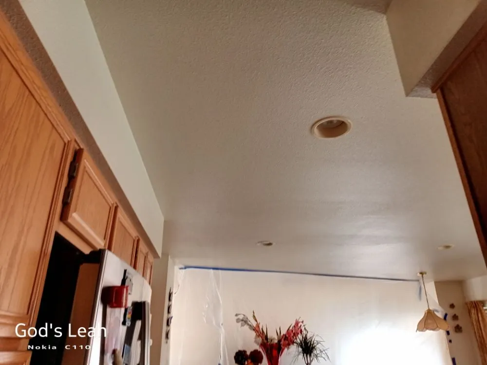 Trusted landscaping services for outdoor upgrades across Reno, NV - Little Miss Handy