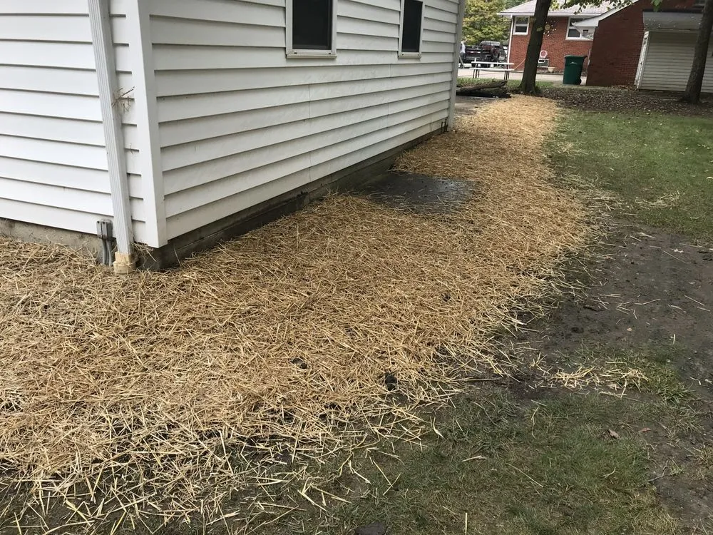 Local yard cleanup service for beautiful yards across Mayfield Heights, OH - Little Mountain Landscape