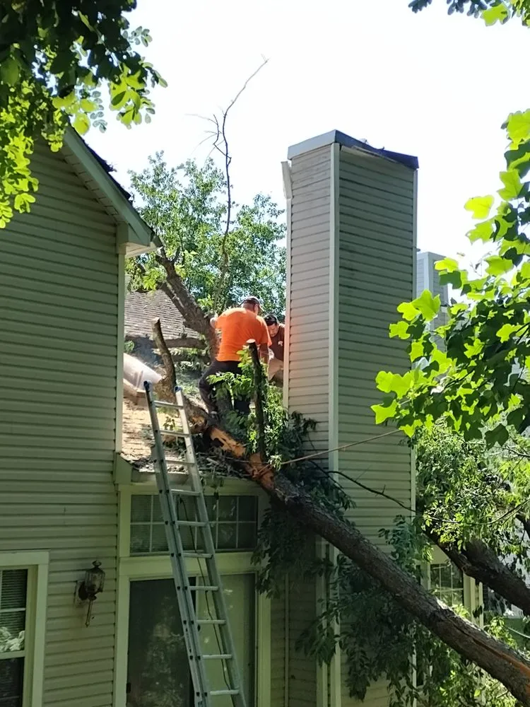 Top-rated yard cleanup service in Union Bridge, MD - Little Oaks Tree Service