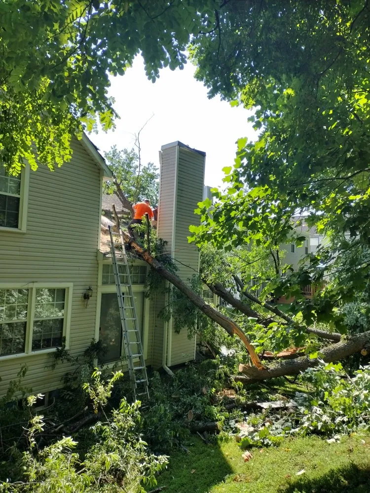 Reliable lawn mowing service near you in Union Bridge, MD by Little Oaks Tree Service