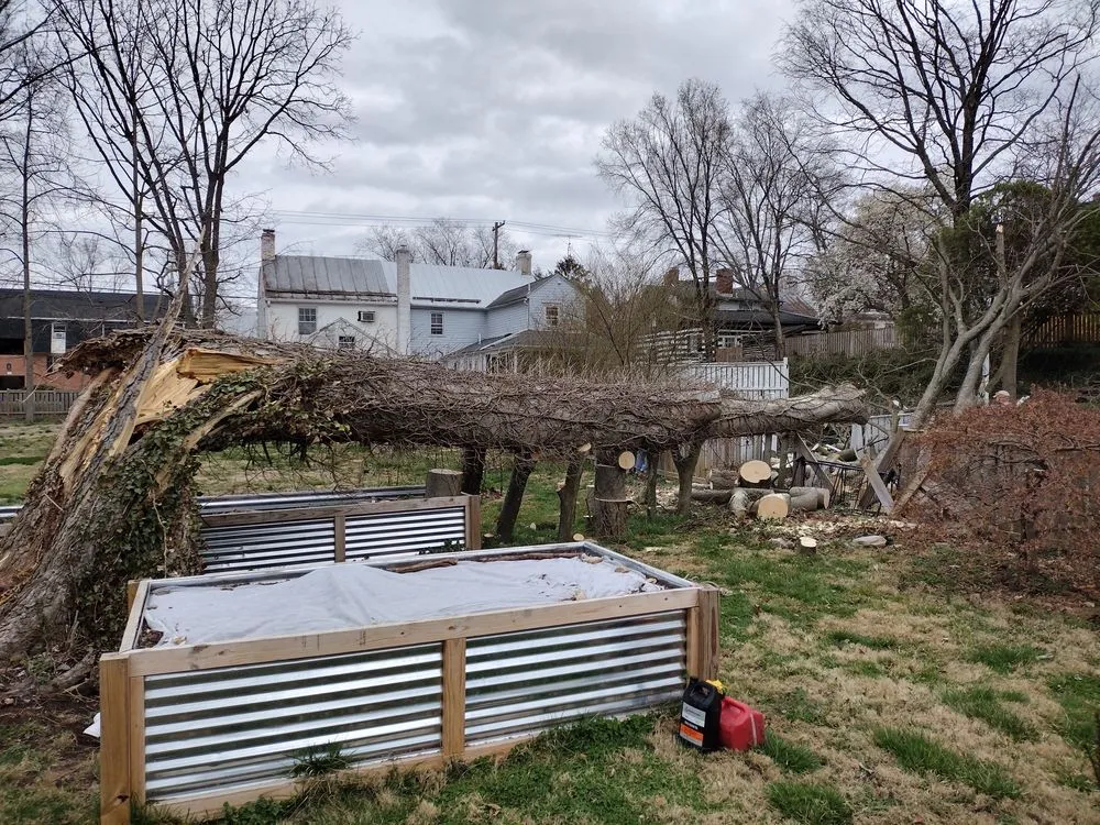 Custom outdoor landscaping for homes in Union Bridge, MD by Little Oaks Tree Service