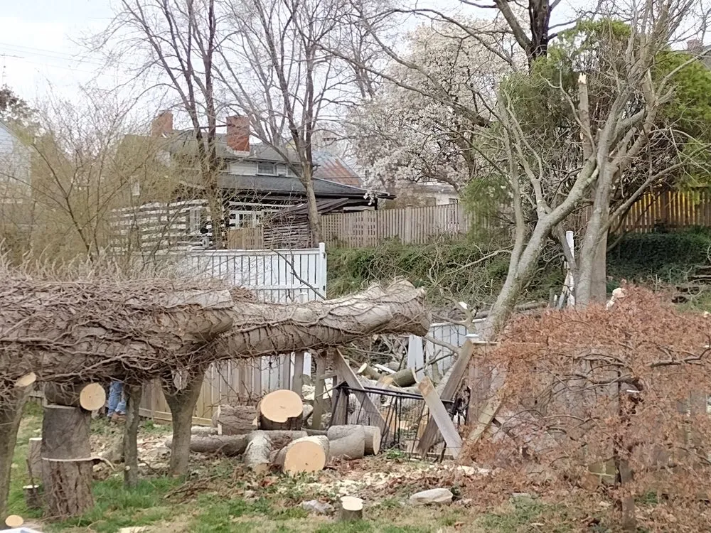 Custom garden landscaping for year-round maintenance across Union Bridge, MD - Little Oaks Tree Service