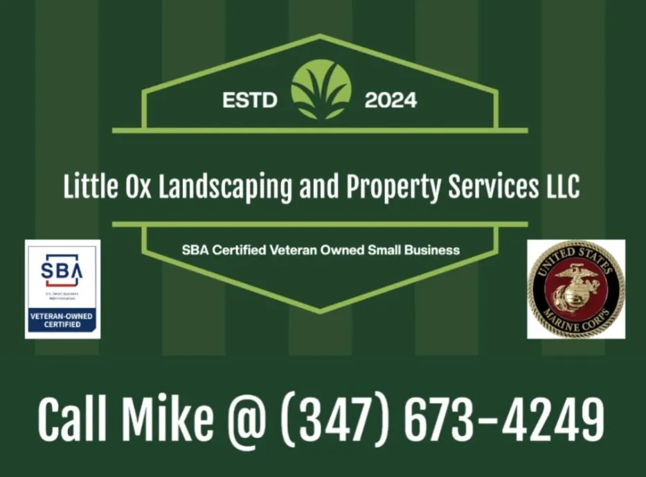 Local lawn mowing service near you in Fountain Hill, PA by Little Ox Landscaping and Property Services