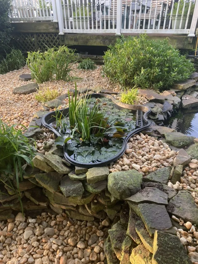 Reliable landscape design for outdoor upgrades across Fountain Hill, PA - Little Ox Landscaping and Property Services