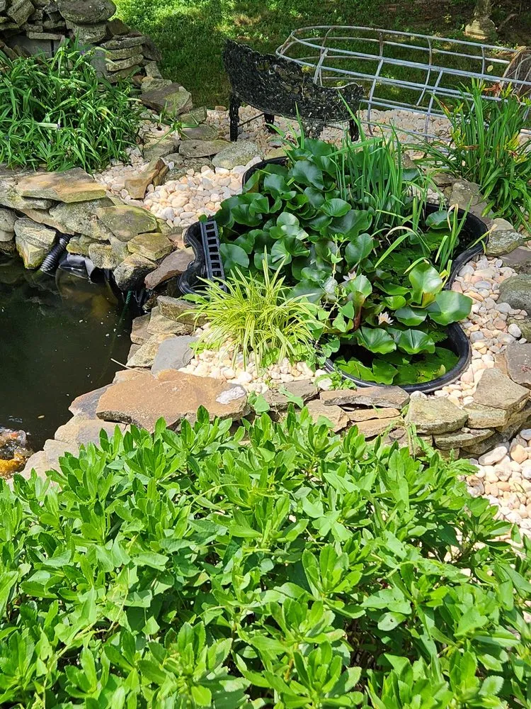 Local landscape design for outdoor upgrades across Fountain Hill, PA - Little Ox Landscaping and Property Services