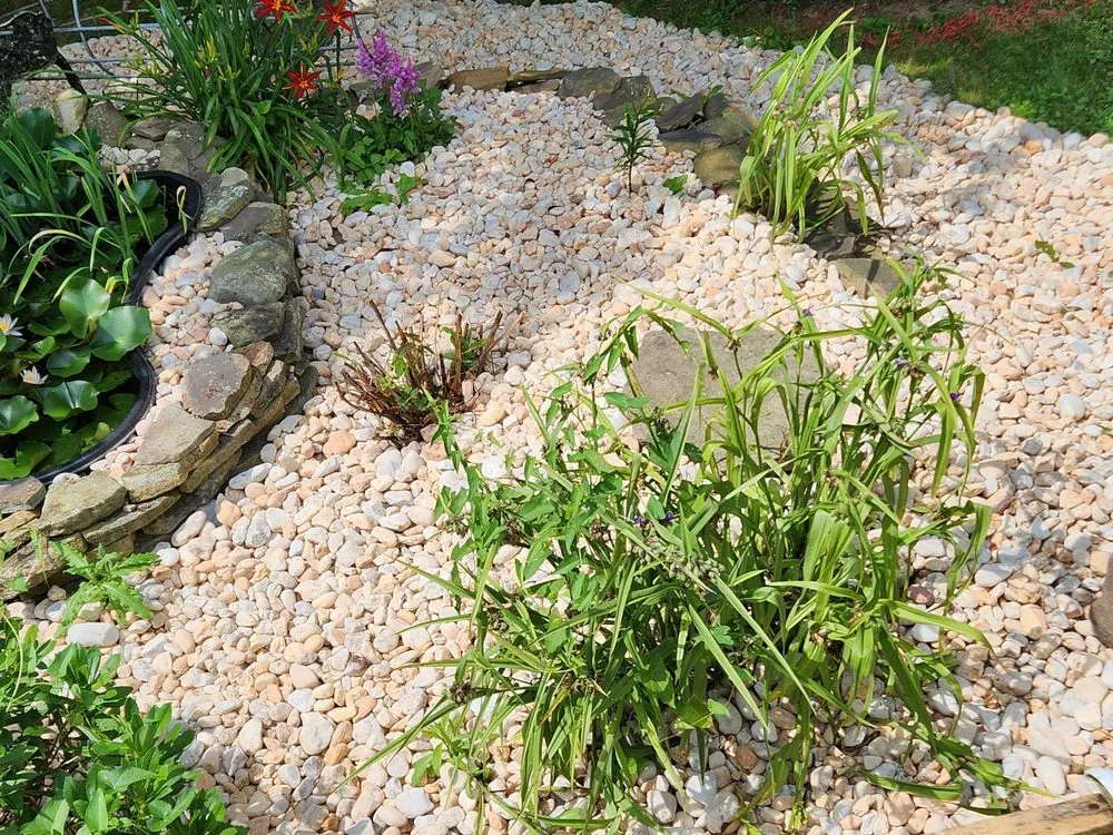 Trusted landscaping services near you in Fountain Hill, PA by Little Ox Landscaping and Property Services