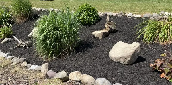 Little Ox Landscaping and Property Services