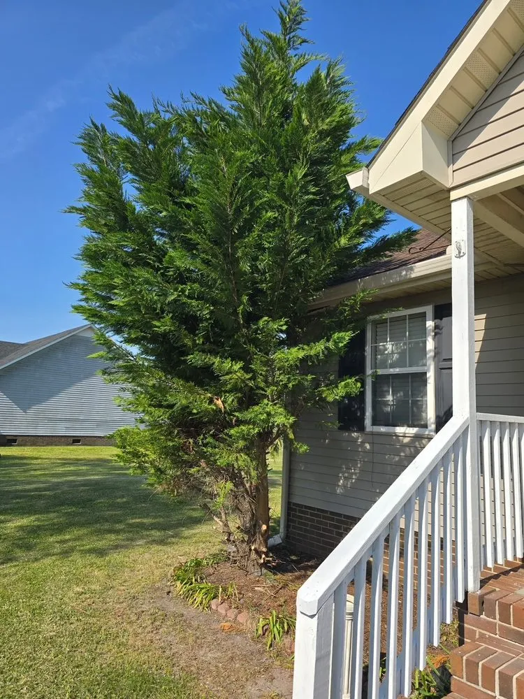 Affordable yard maintenance for beautiful yards in Elizabeth City, NC by Little Red Tractor