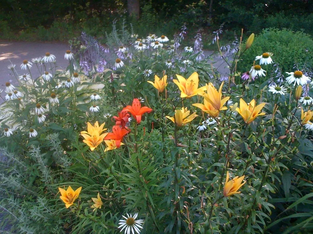 Reliable lawn care service in Wakefield, RI by Little Rest Landscaping, LLC