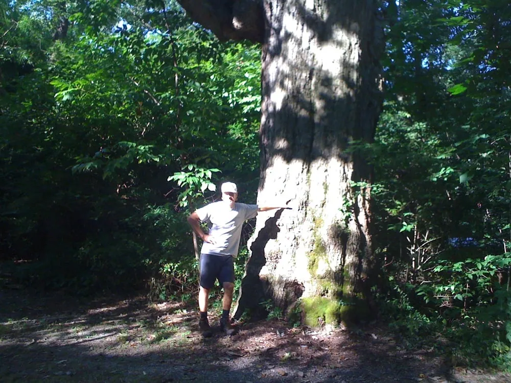 Affordable yard maintenance with custom design across Wakefield, RI - Little Rest Landscaping, LLC